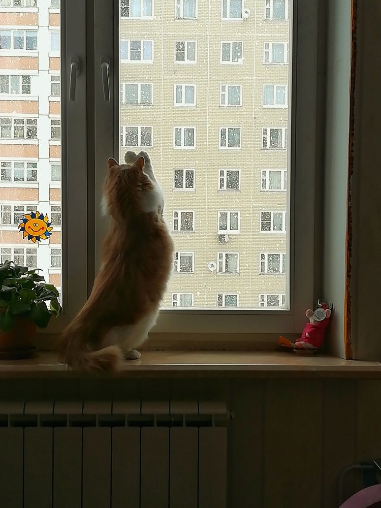Photograph by Людмила Липаткина