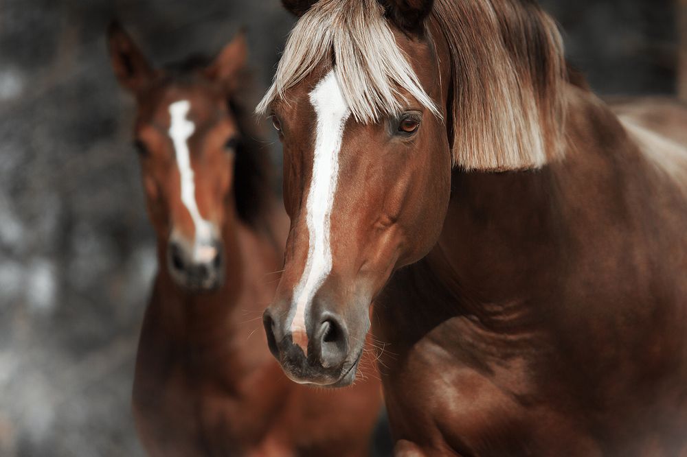 Photograph by Дарья Ералева