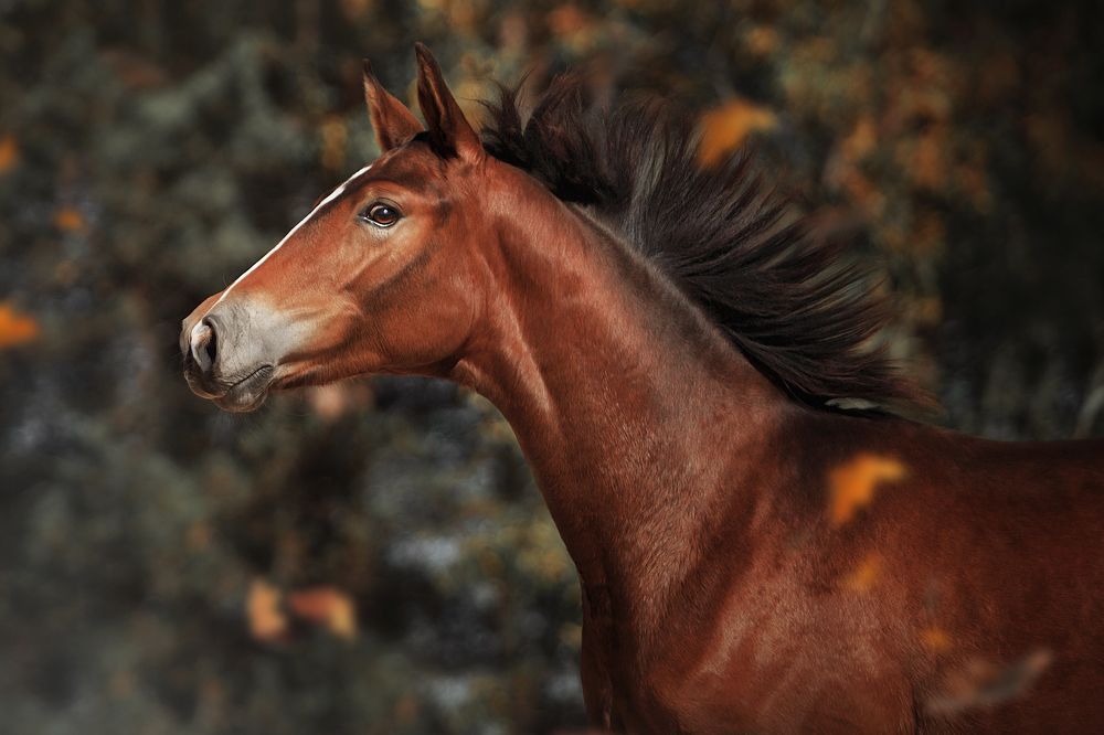 Photograph by Дарья Ералева