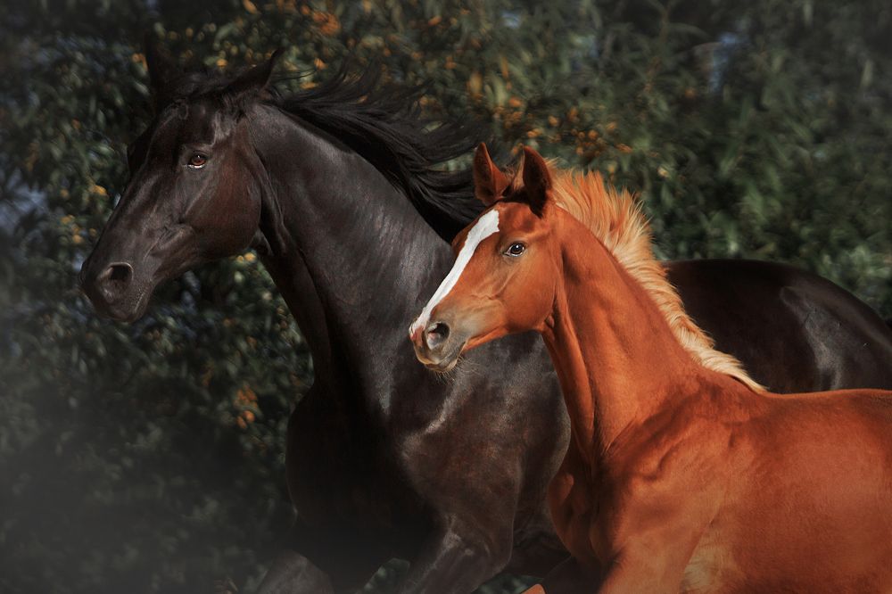 Photograph by Дарья Ералева