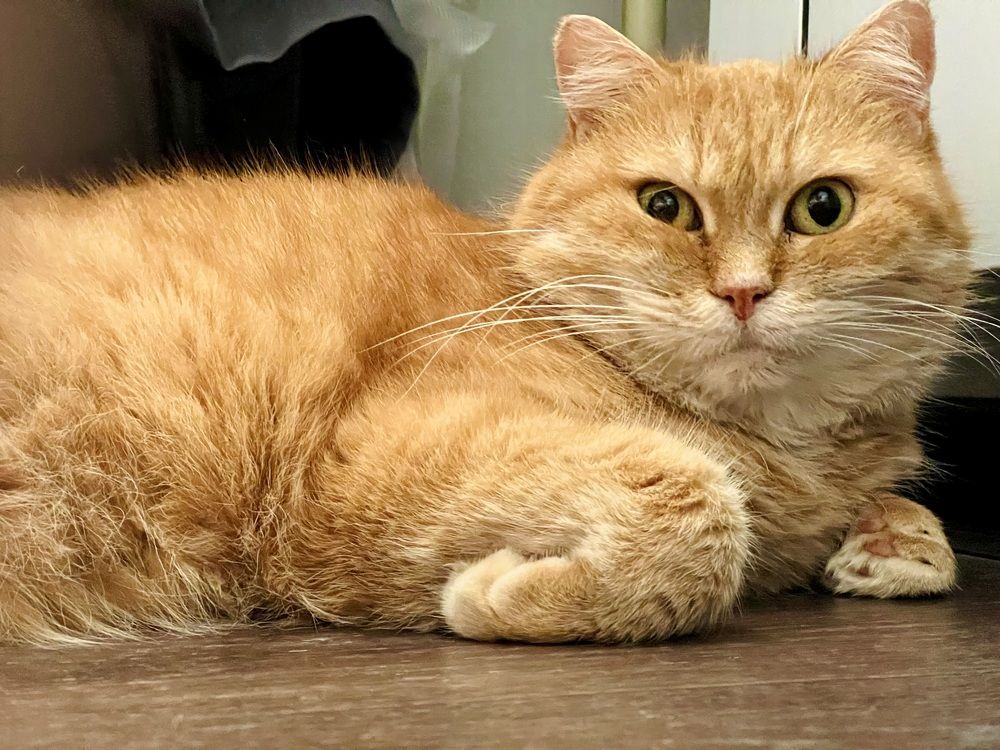 Photograph by Татьяна Зенина