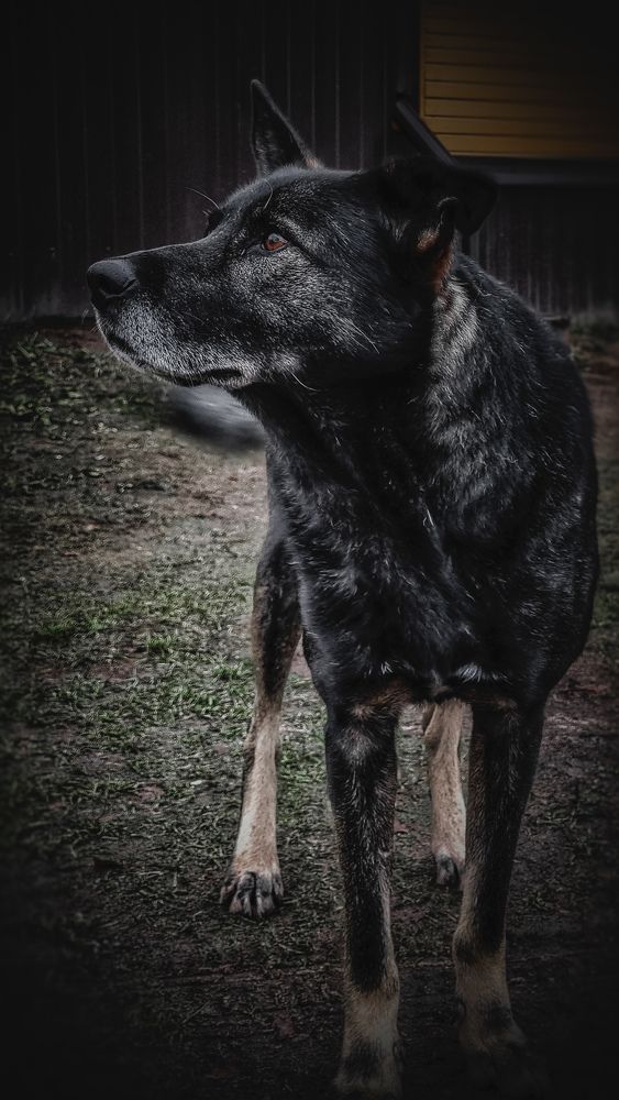 Photograph by Дина Чаица