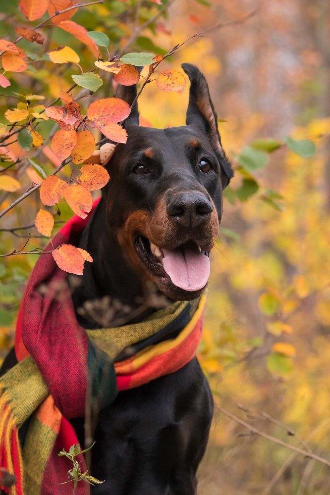 Photograph by Виктория Мамаева