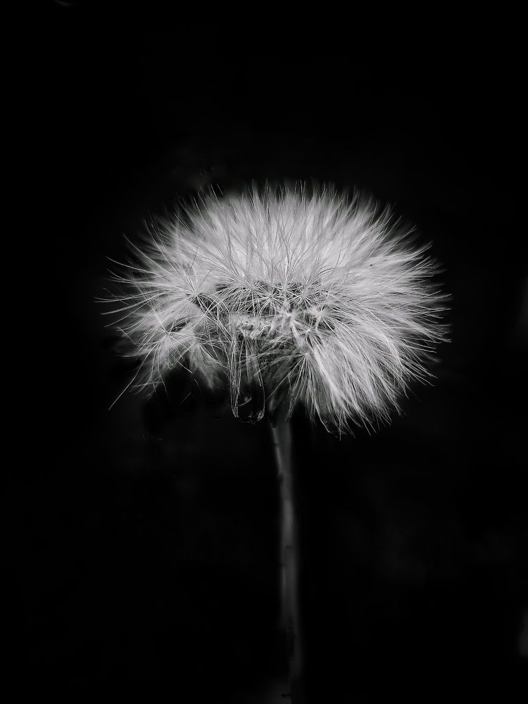 Photograph by Дина Чаица