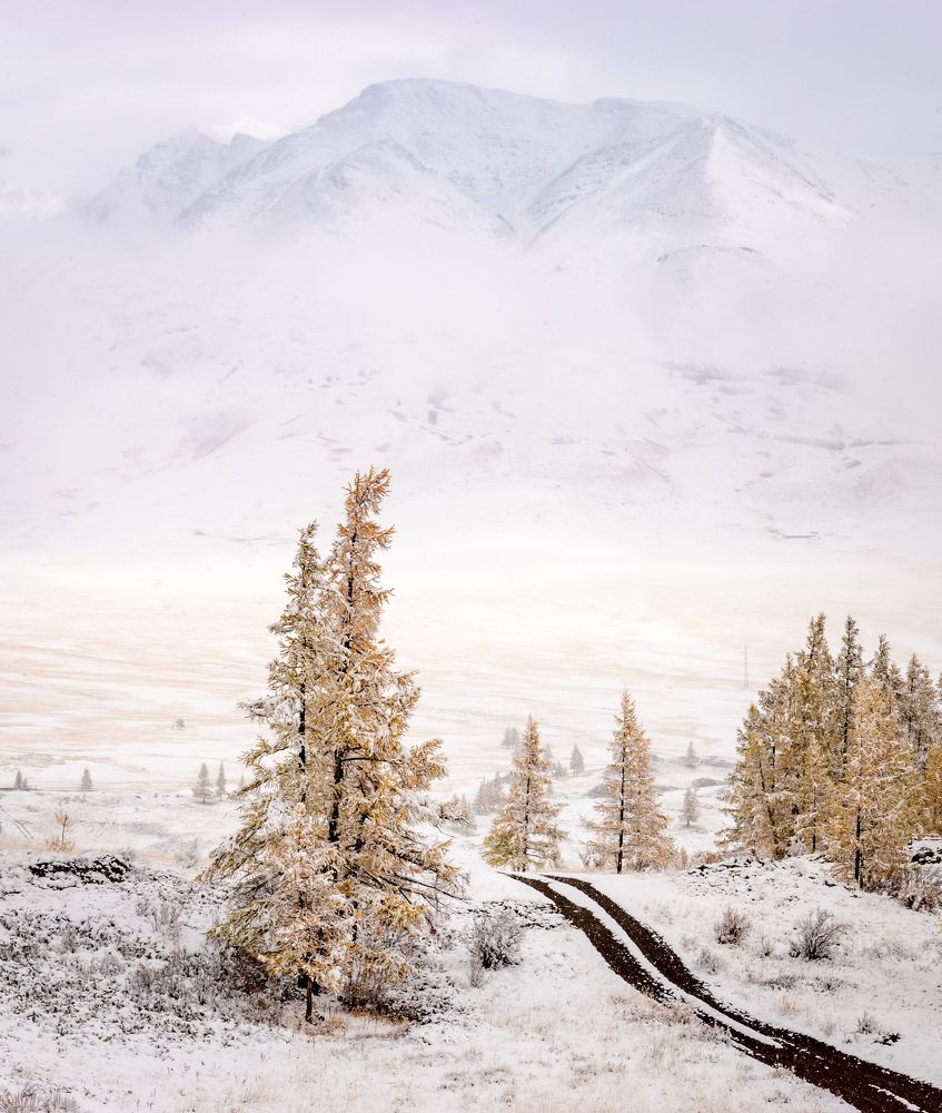 Фотография автора Александр Рудный