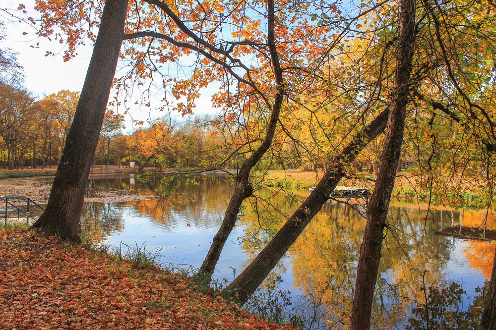 Photograph by Дина Железнова