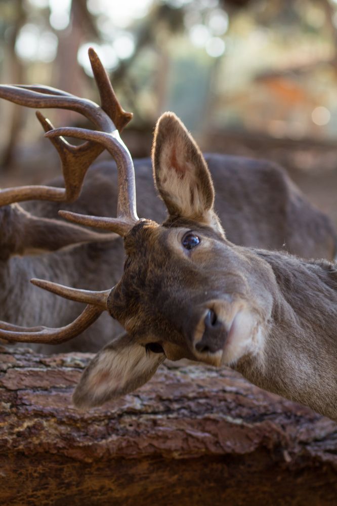 Photograph by Olga Min