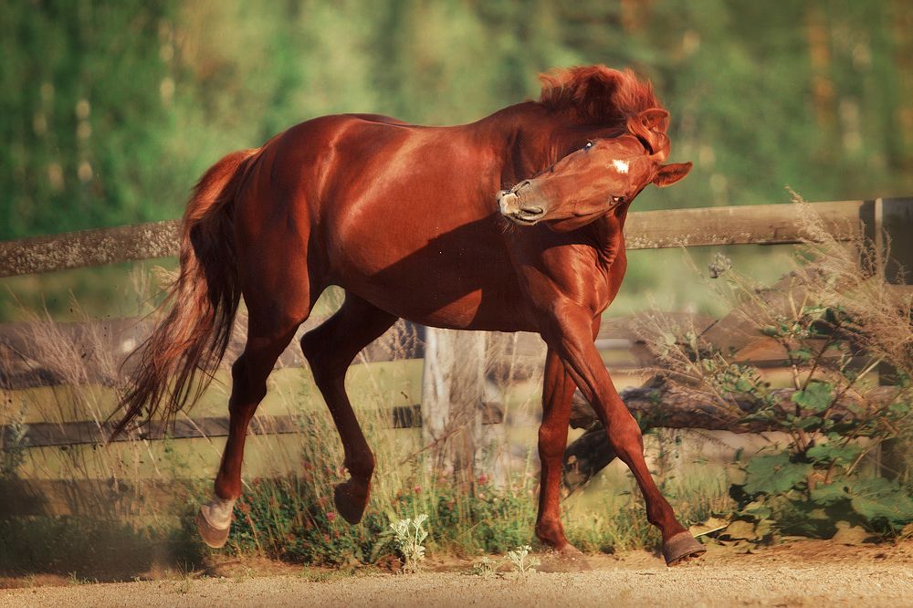 Photograph by Дарья Ералева