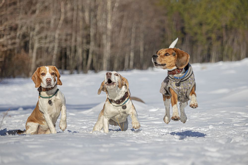 Photograph by Юлия Куликова