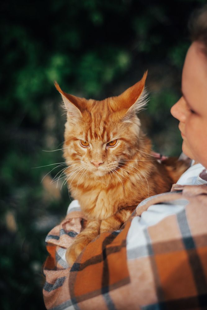 Photograph by Светлана Субботина