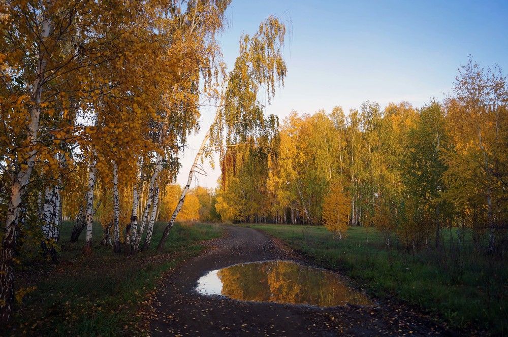 Photograph by Мишустина Татьяна