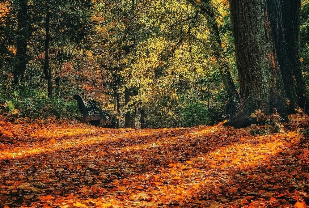 Photograph by Максим Кольцов