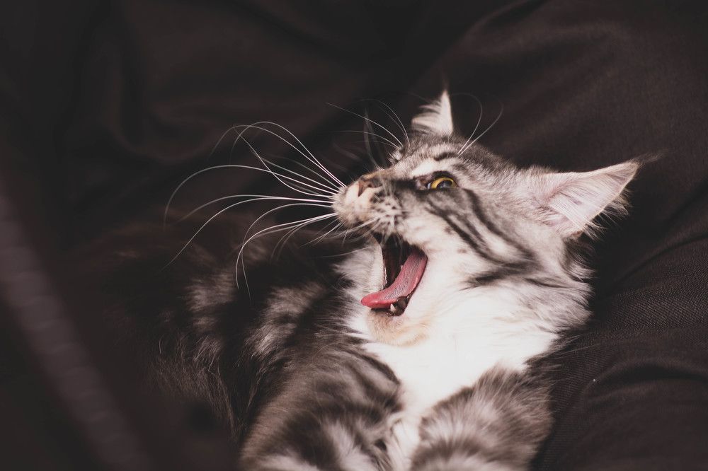 Photograph by Светлана Субботина