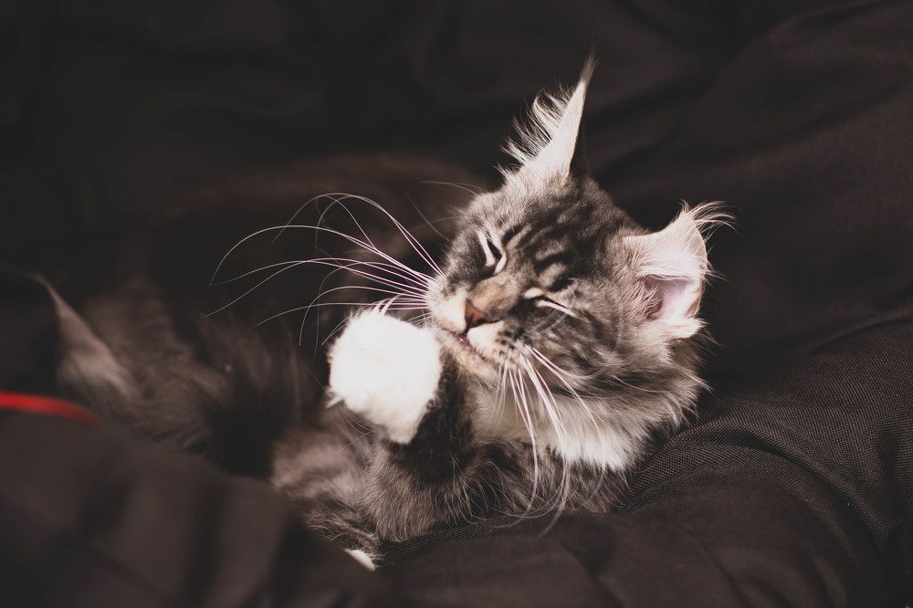 Photograph by Светлана Субботина