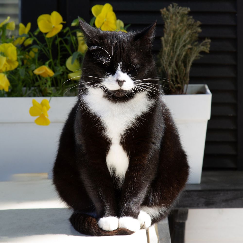 Photograph by Вячеслав Кровопусков