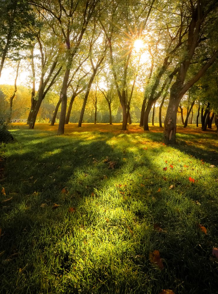 Фотография автора Барсуков Владимир