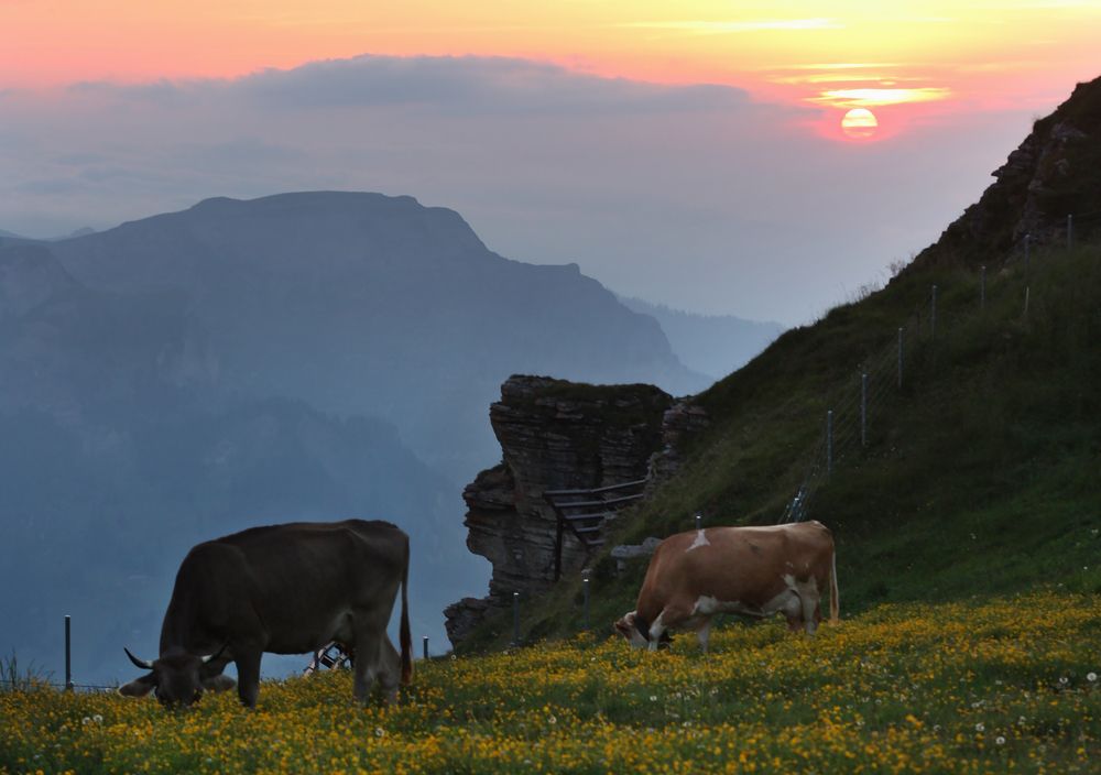 Фотография автора Наталья Белова