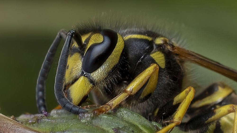 Photograph by Людмила Железнова