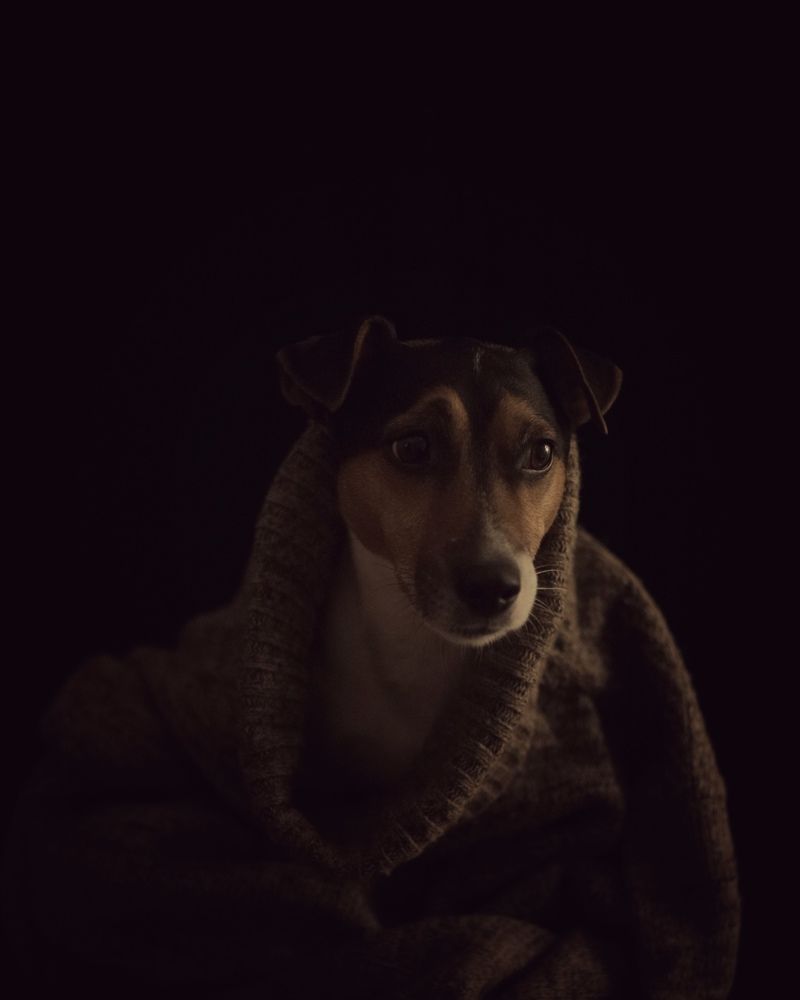 Фотография автора Ирина Мосько