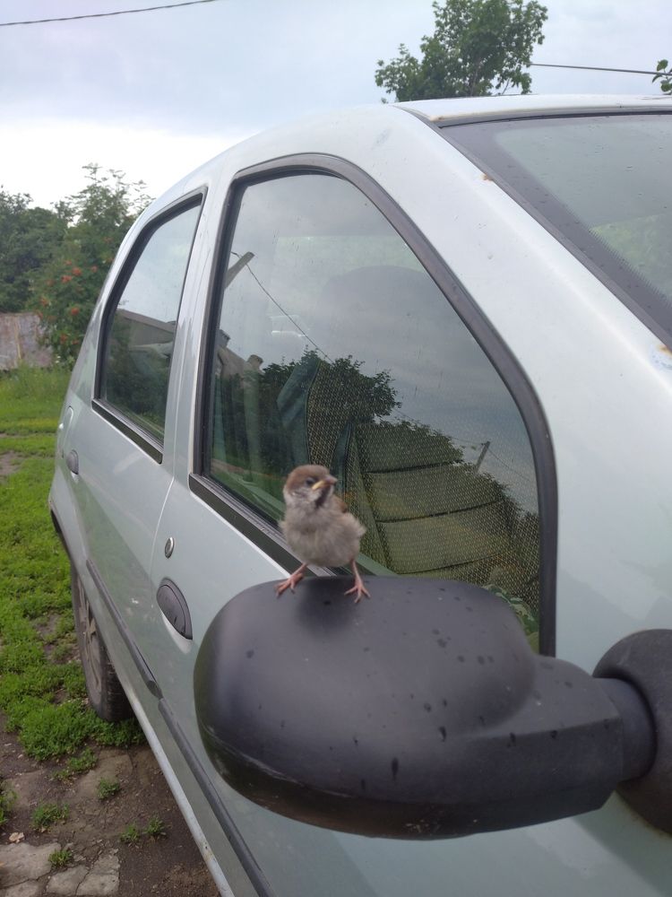 Photograph by Елена Коробченко