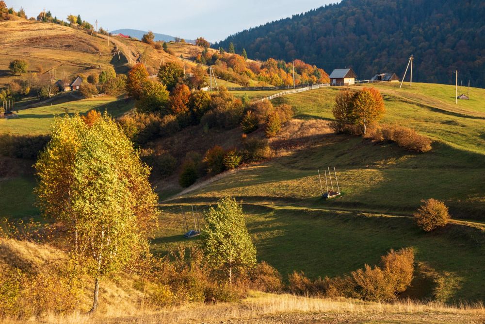 Photograph by Крицак Ольга