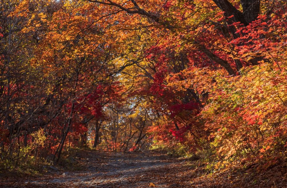 Photograph by Крицак Ольга