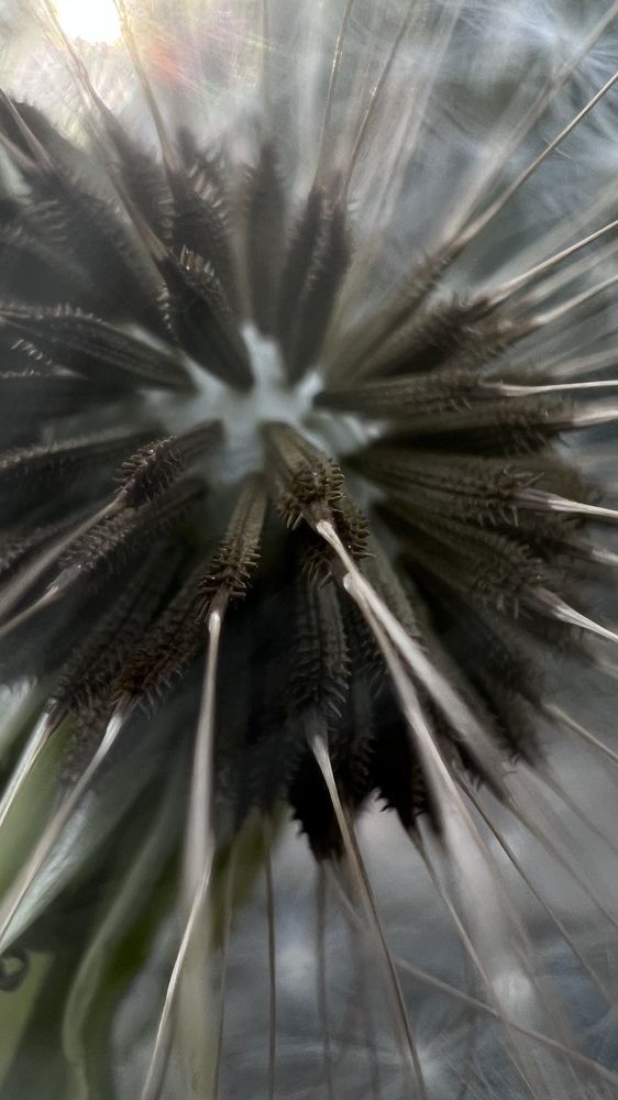 Photograph by Алена Жирова