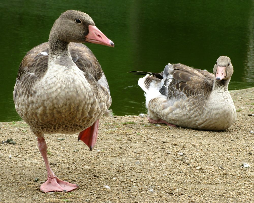 Photograph by Евгений Рукавицин