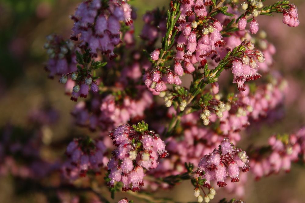 Photograph by Panagiotis Batatolis