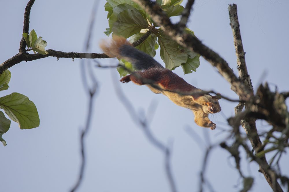 Photograph by Nithin Kumar