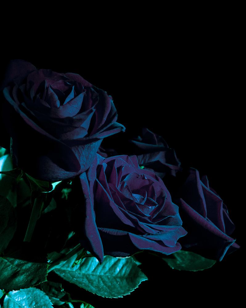 Photograph by Светлана Станевич