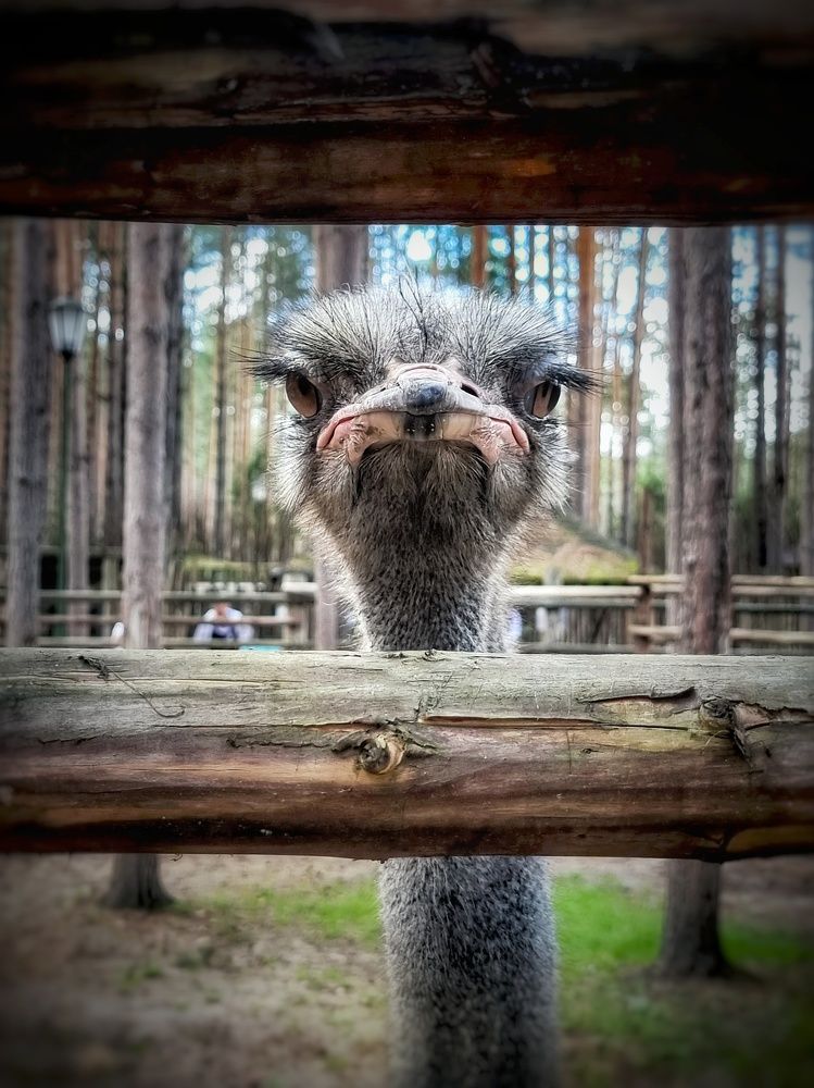 Photograph by Дина Чаица