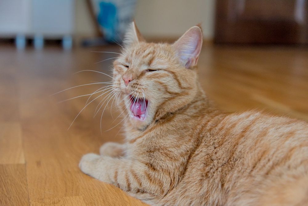 Photograph by Анна Захаренкова