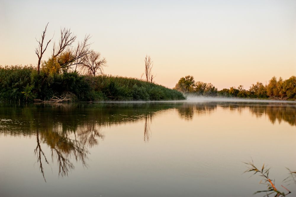 Фотография автора Елена Ефименко