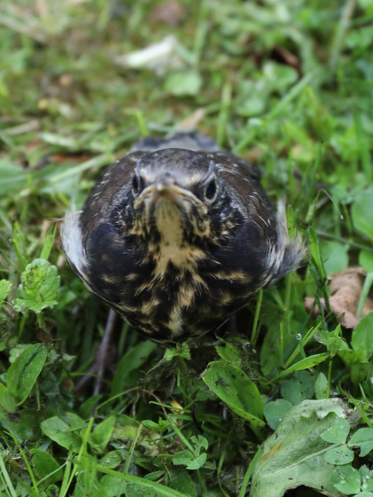 Photograph by Елена Тимченко