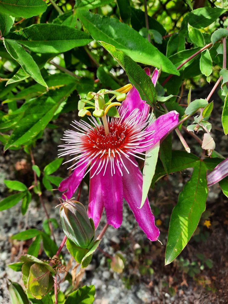 Photograph by Елена Симонова