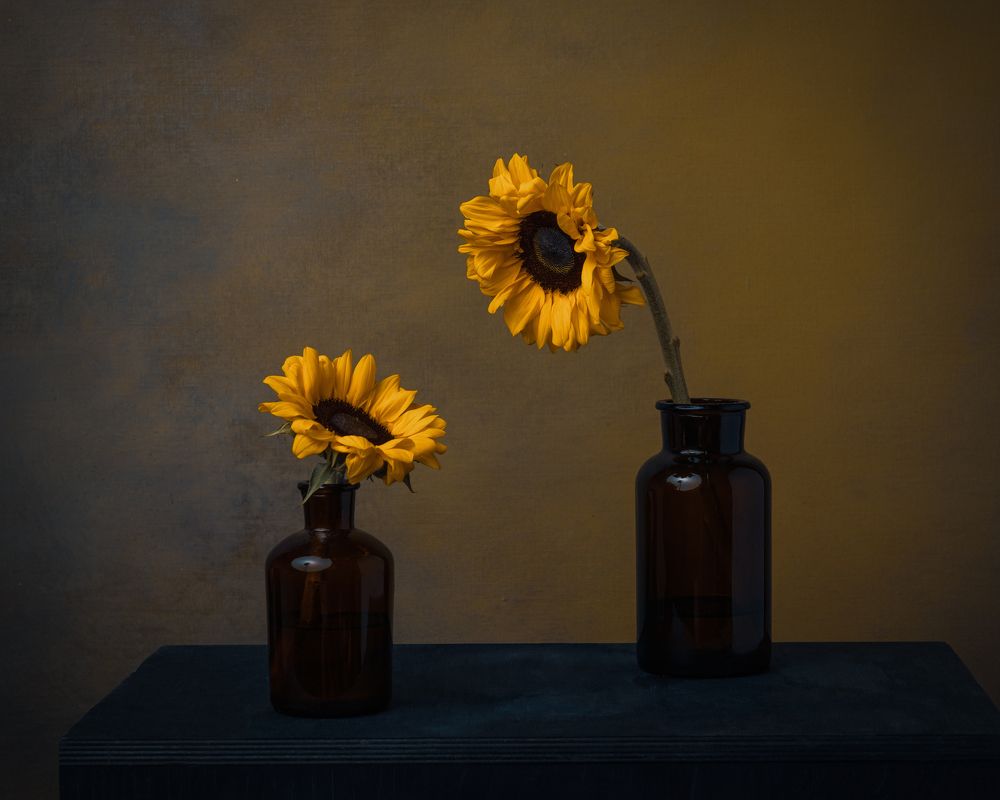 Photograph by Ольга Савельева