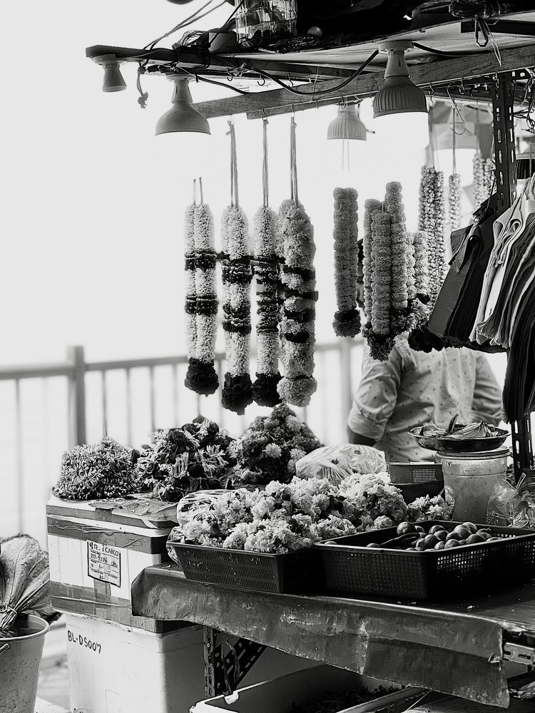 Photograph by SASVINDRA KUMAR