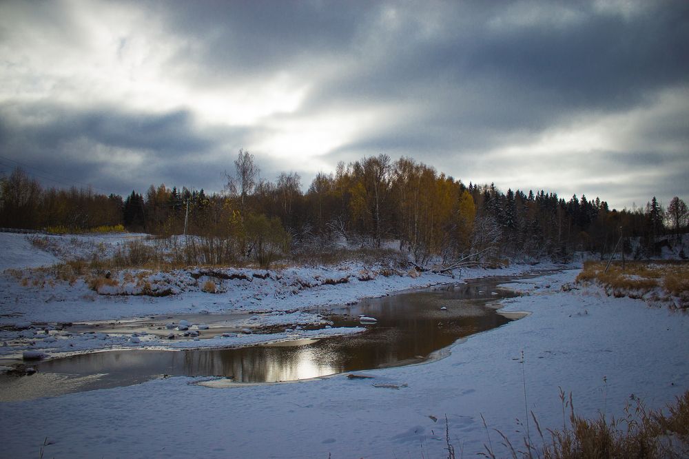 Фотография автора Хвойнова Елена