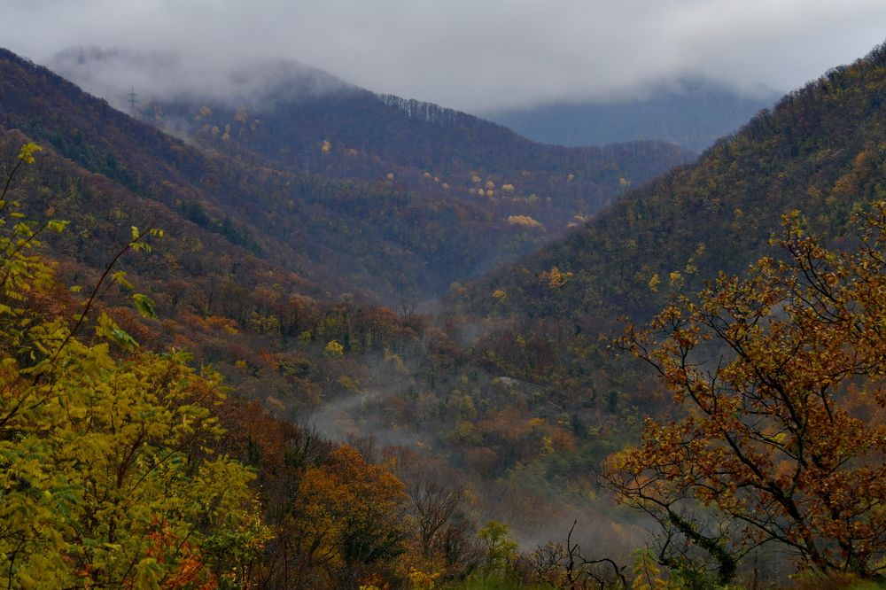 Утренний туман над рекой
