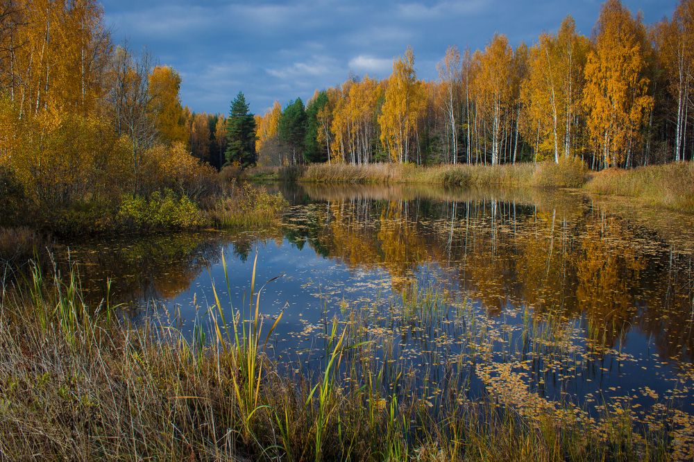 Photograph by Хвойнова Елена