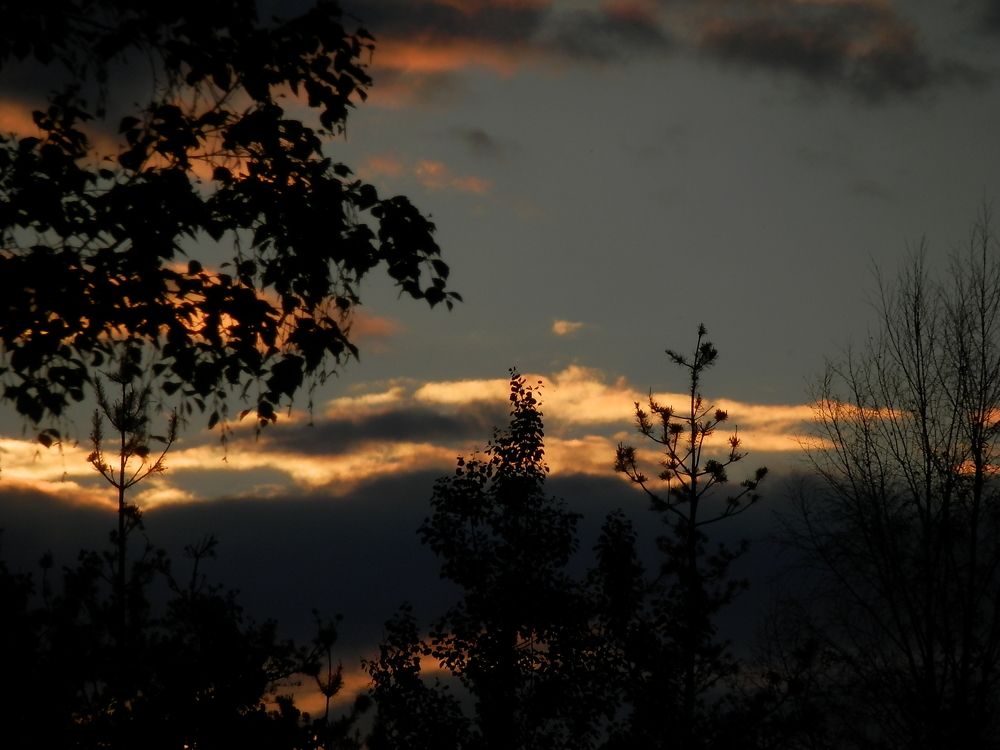 Photograph by Георгий Салюков