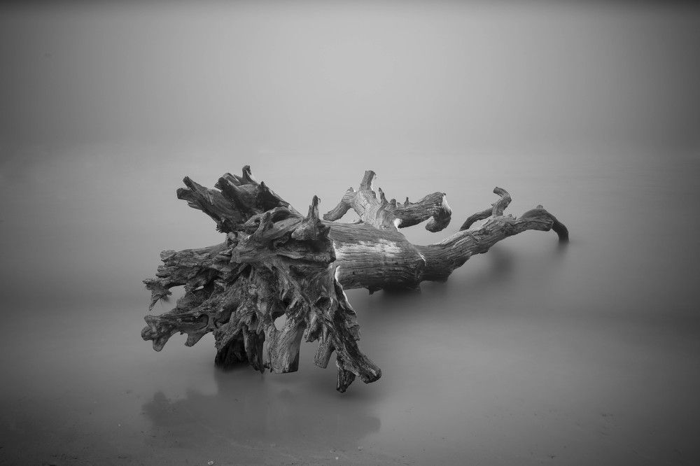 Photograph by Miroslav Pavlík