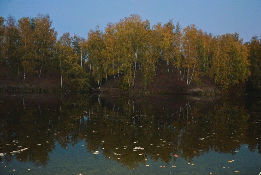 Photograph by Татьяна Ненюхина