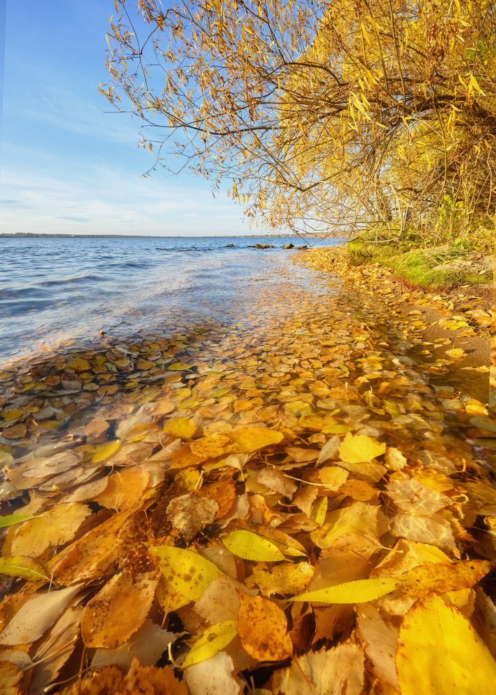 Photograph by Василий Яковлев