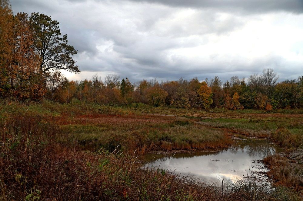 Photograph by Николай Круглов