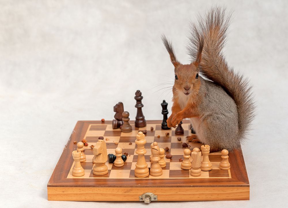 Photograph by Ольга Дядченко