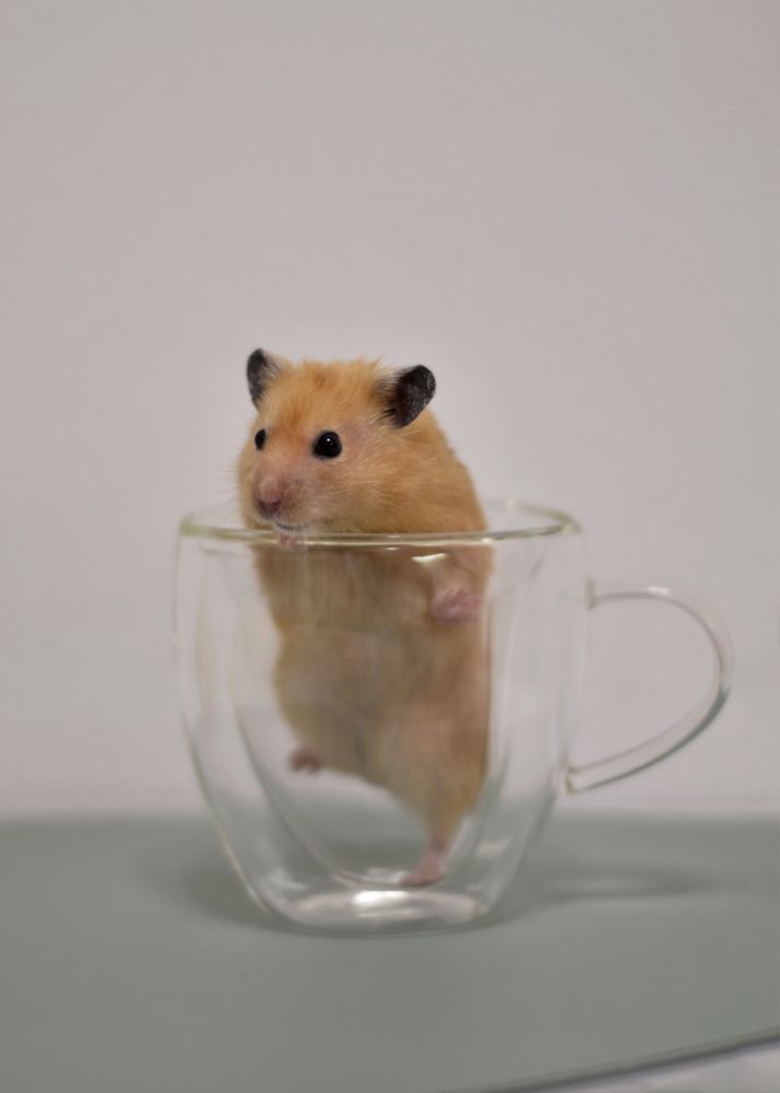 Photograph by Юлия Сидорова