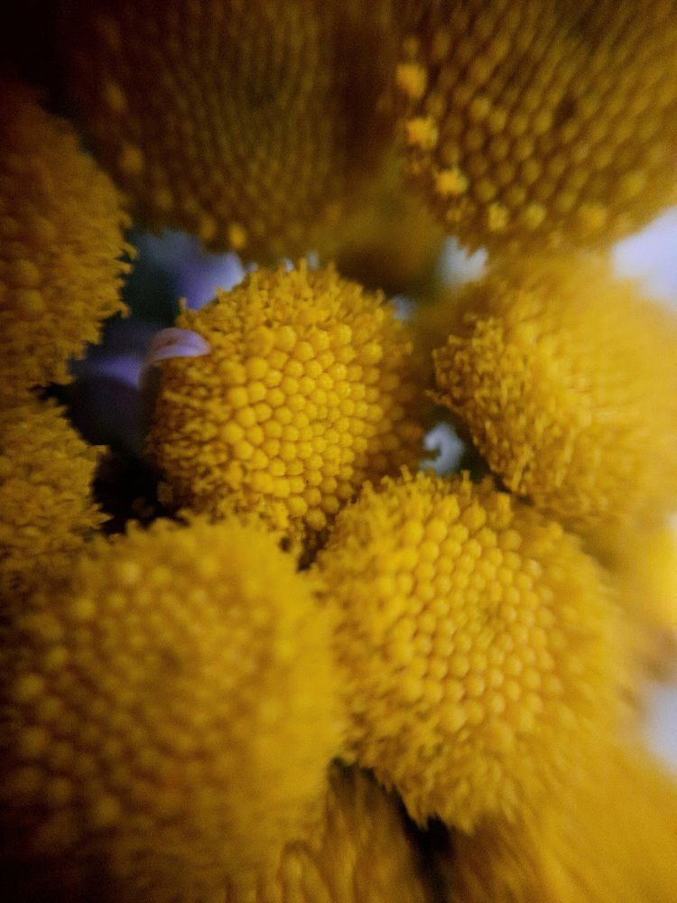 Photograph by Анастасия Алякина