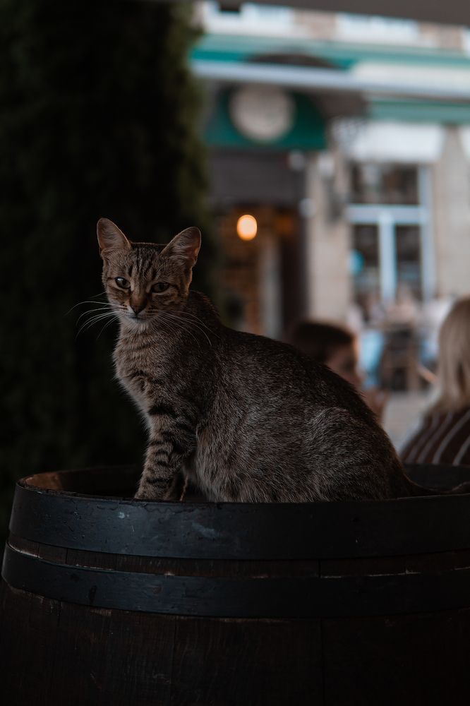 Photograph by Егор Ставер